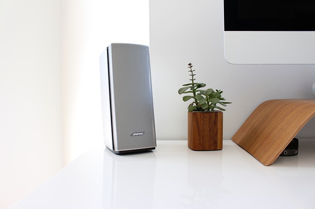 bose reproduktor